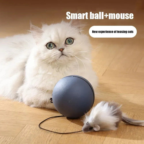 Cat Toys Mouse Teaser Ball Funny Moving Toy For Pets Cat Dog Electric