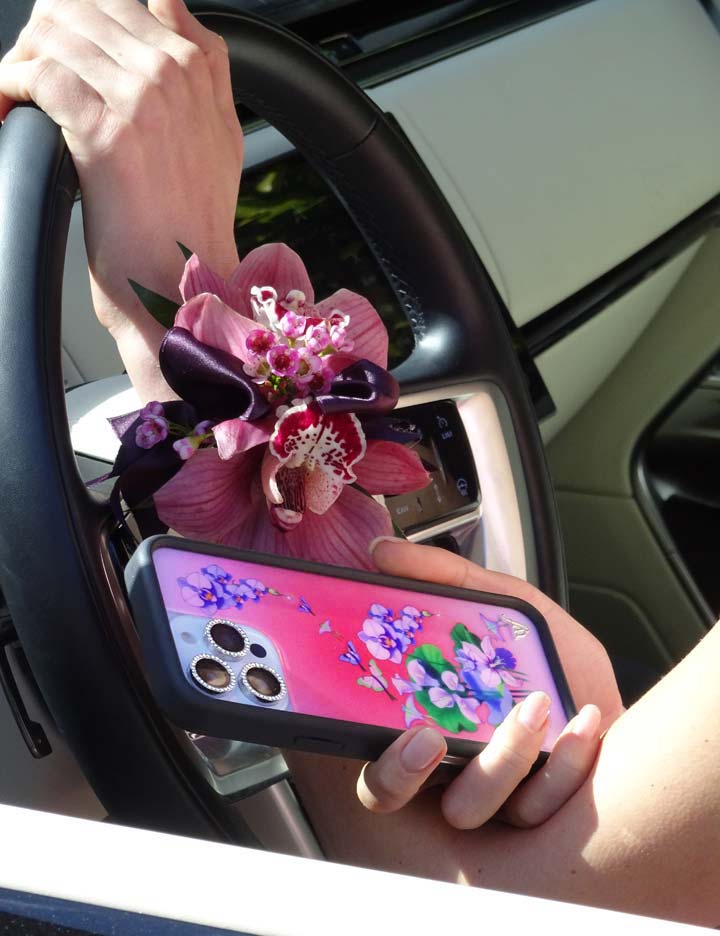 Butterfly Dreams iPhone Case iPhone Case Wildflower Cases