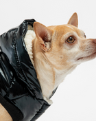 Emma Dog Jacket – Shiny Black Water-Resistant Winter Coat