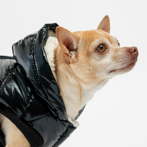 Emma Dog Jacket – Shiny Black Water-Resistant Winter Coat