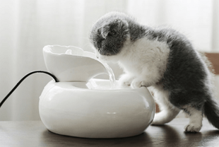 Ceramic Automatic Cat Water Fountain