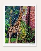 Twilight Snack Giraffe Hand Signed Fine Art Print