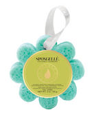 Coconut Verbena | Wild Flower Bath Sponge