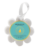 Beach Grass | Wild Flower Soap Sponge