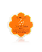 Lily of the Valley | Daisy Spongette