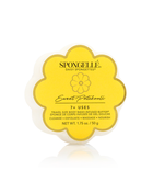 Sweet Patchouli | Daisy Spongette