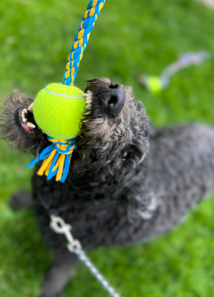 Rerope Looper Barrel with Tennis Ball Upcycled Textile Rope Dog Toys