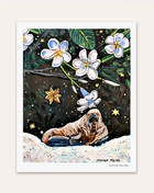 Walrus Plumeria Hand Signed Fine Art Print