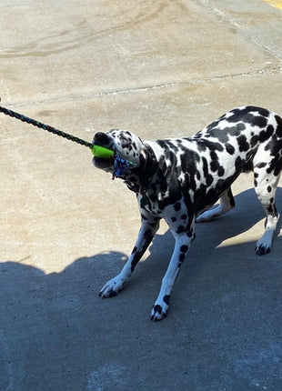ReRope Small Looper with Tennis Ball Upcycled Fabric Rope Dog Toys