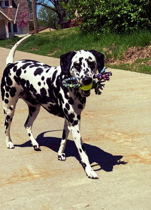Rerope Looper Barrel with Tennis Ball Upcycled Textile Rope Dog Toys