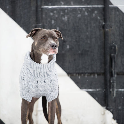 The Chalet Pet Sweater - Grey