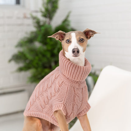 The Chalet Pet Sweater - Blush Pink