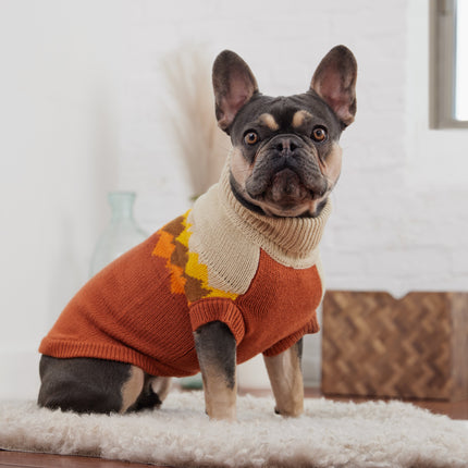 Fireside Pattern Pets Sweater