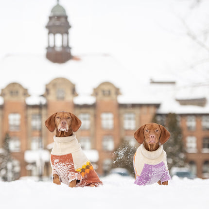 Fireside Pattern Pets Sweater