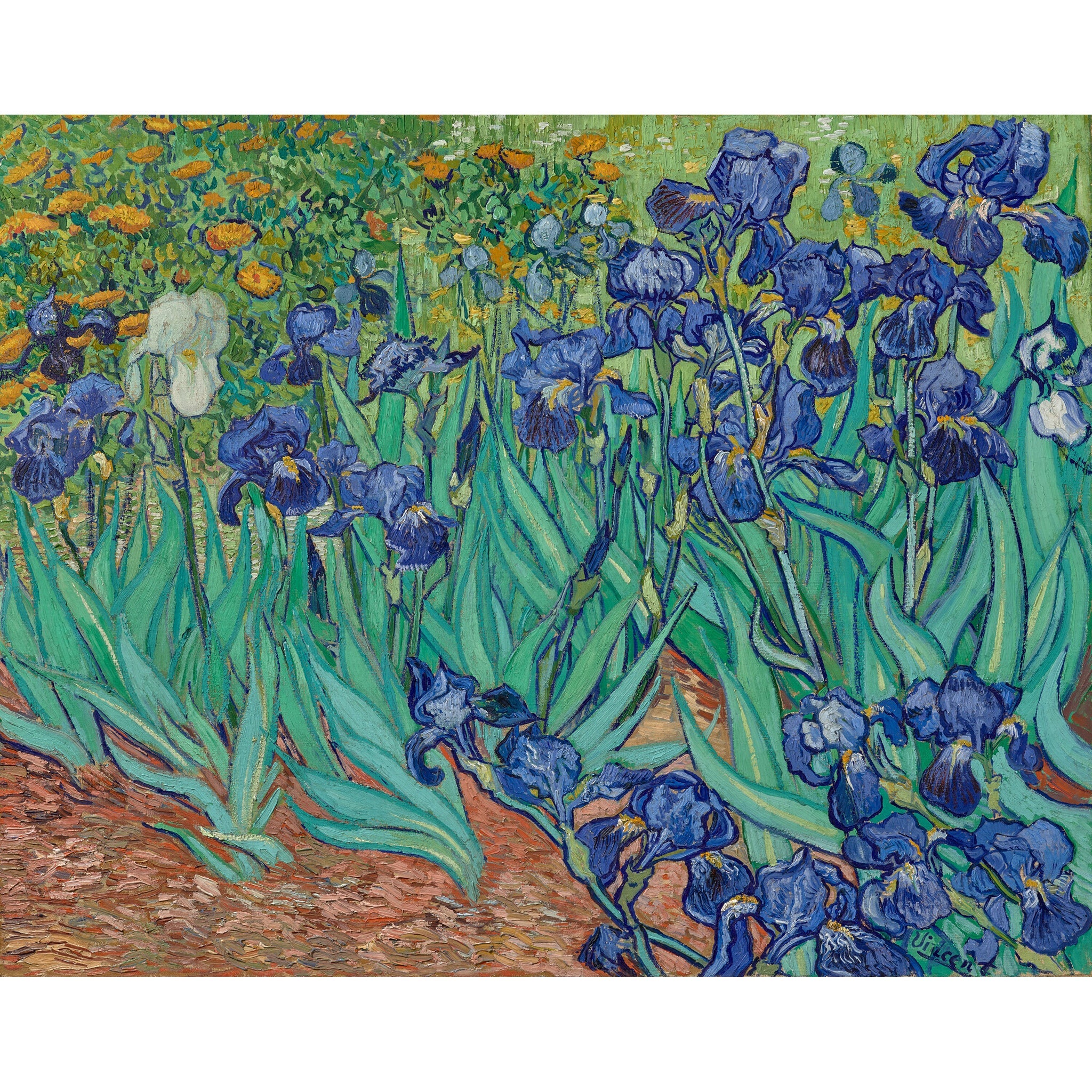 Van Gogh Irises Folding Hand Fan