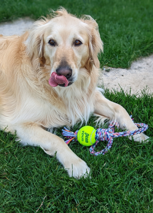 Rerope Looper Barrel with Tennis Ball Upcycled Textile Rope Dog Toys