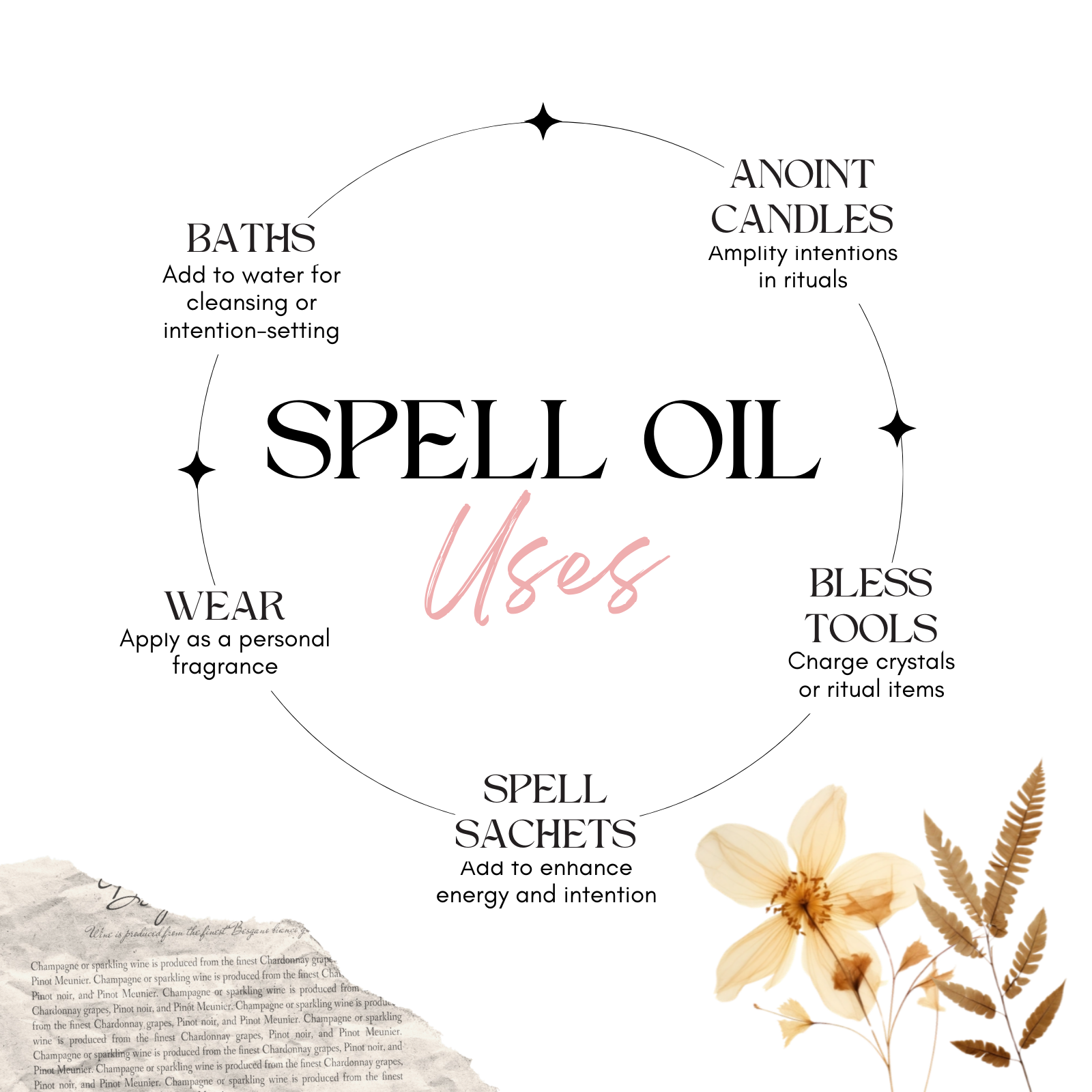Money Magnet | Spell Oil 1/2 oz Circe Boutique