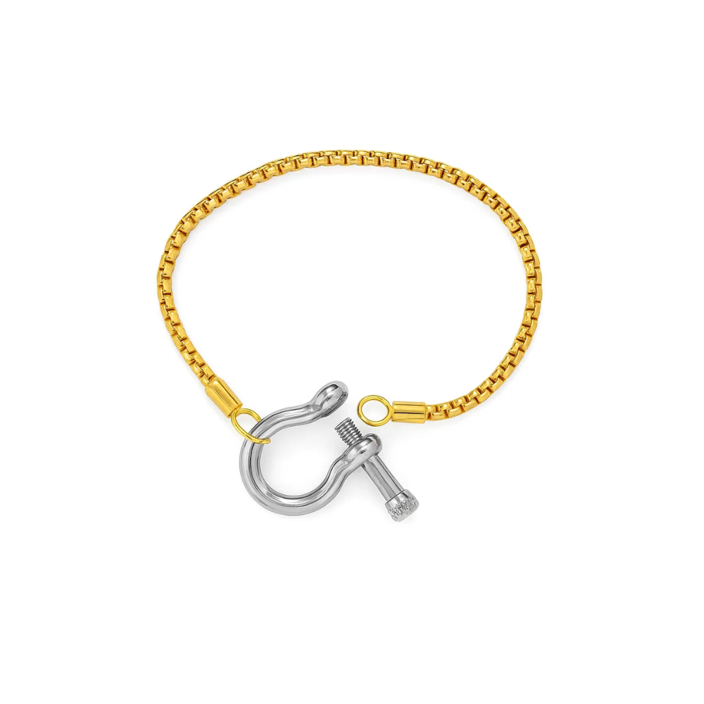 Lucky Lock Horseshoe Amulet Bracelet, Carabiner Clasp