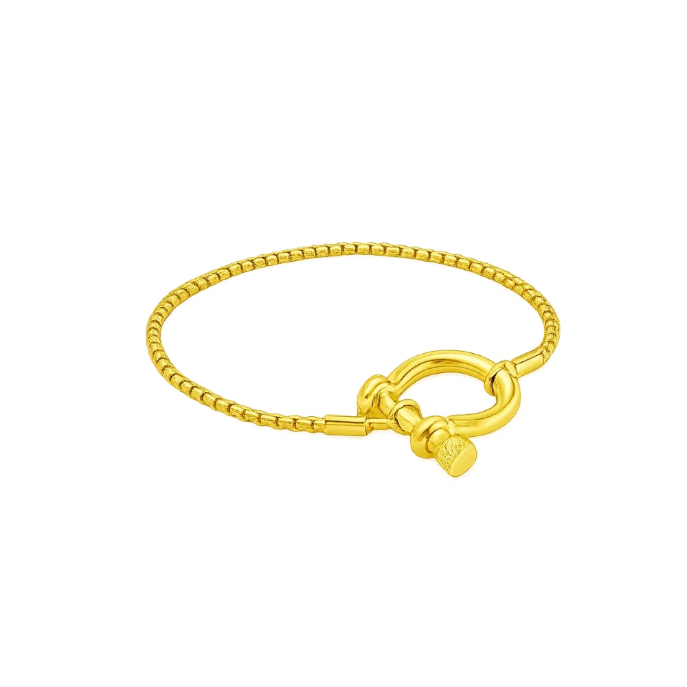 Lucky Lock Horseshoe Amulet Bracelet, Carabiner Clasp