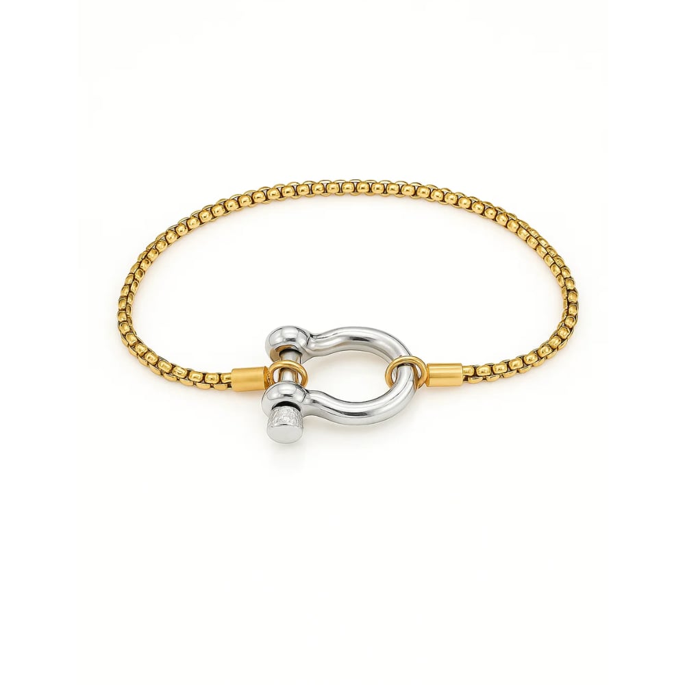 Lucky Lock Horseshoe Amulet Bracelet, Carabiner Clasp