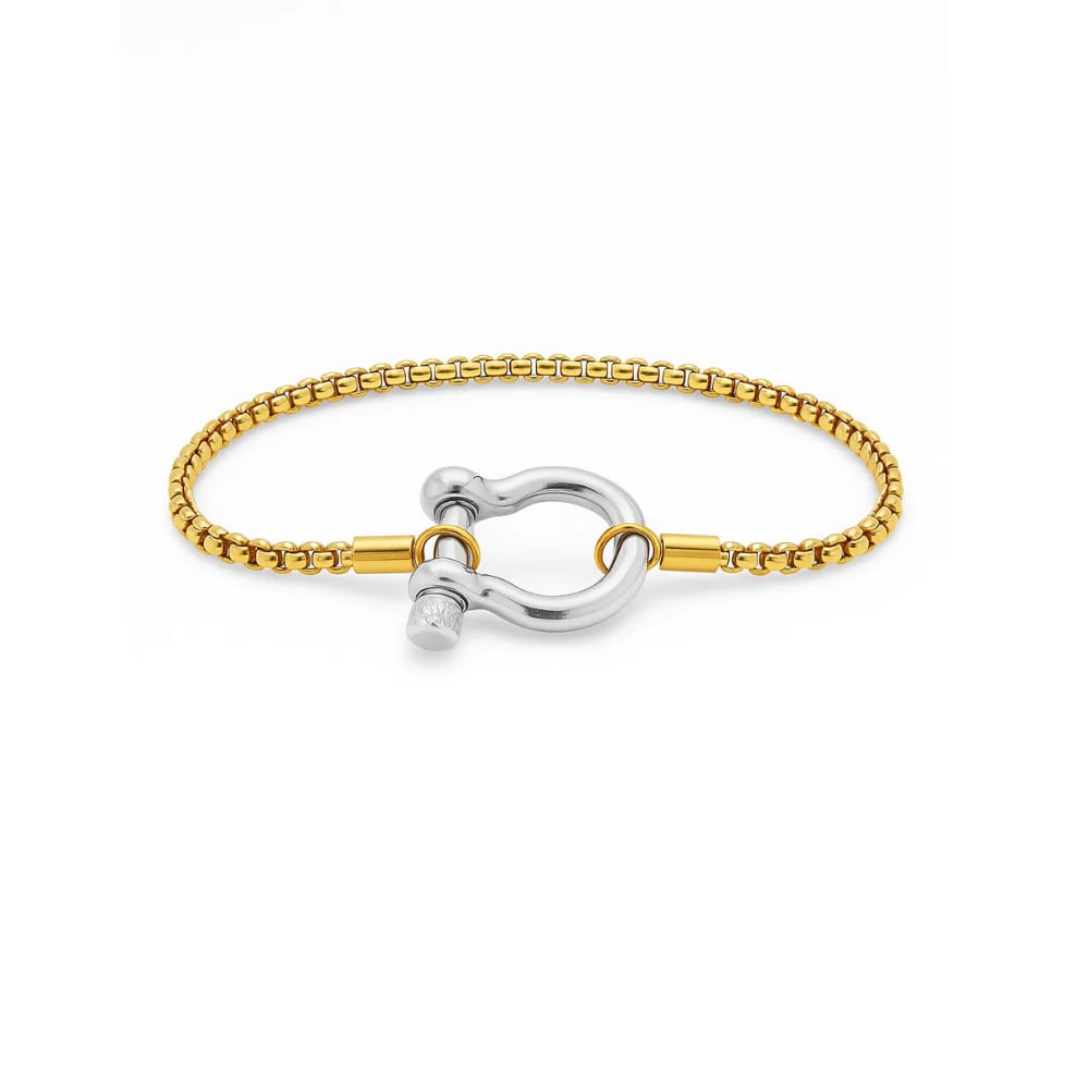 Lucky Lock Horseshoe Amulet Bracelet, Carabiner Clasp