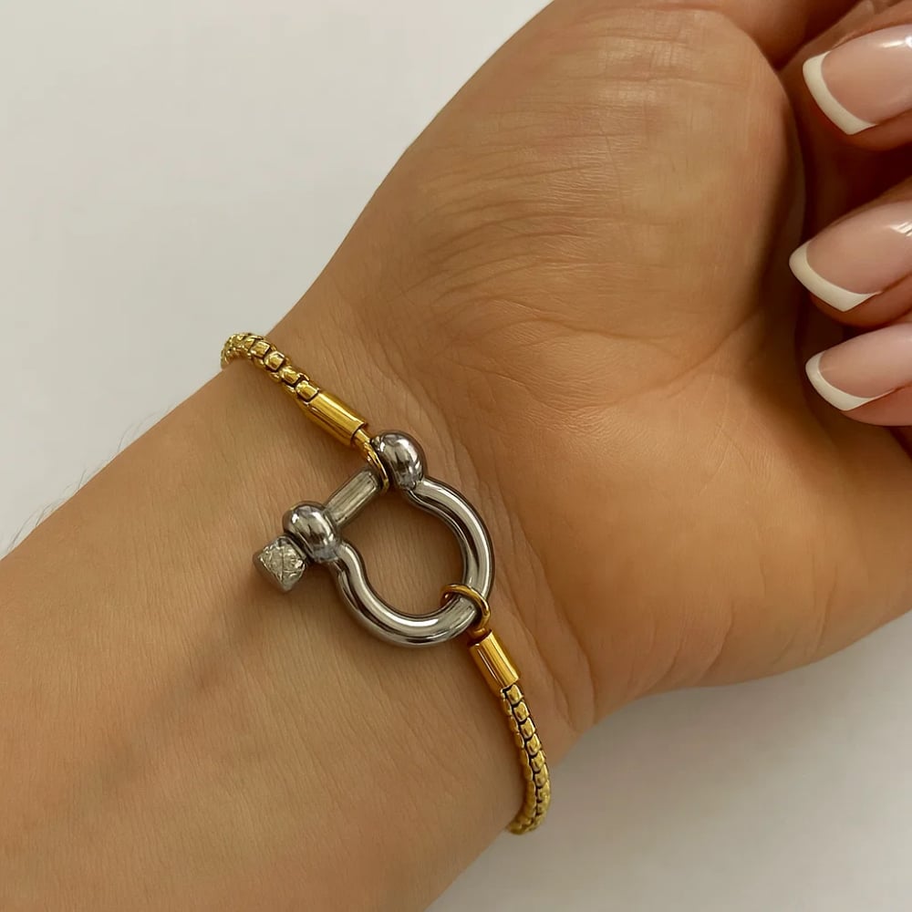 Lucky Lock Horseshoe Amulet Bracelet, Carabiner Clasp