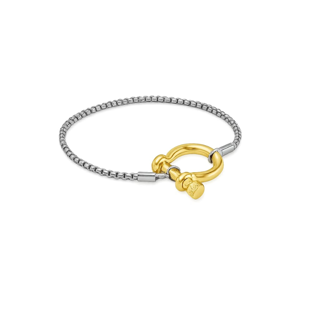 Lucky Lock Horseshoe Amulet Bracelet, Carabiner Clasp