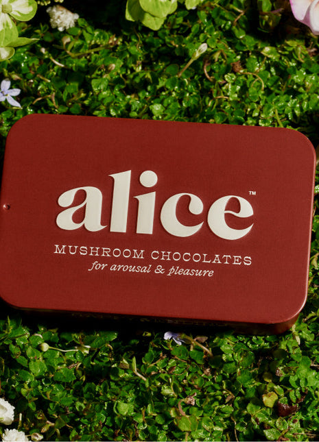 Happy Ending Functional Mushroom Chocolates