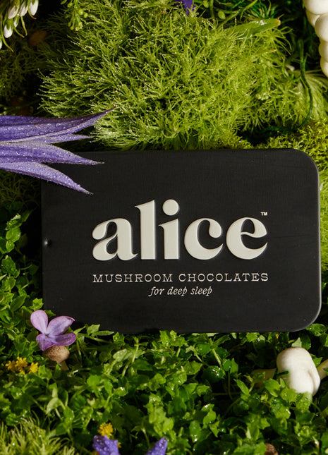 Nightcap Functional Mushroom Chocolates