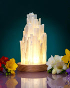 The Cleanse-All Selenite Lamp - 2 Pounds of Healing Power Night Light Conscious Items