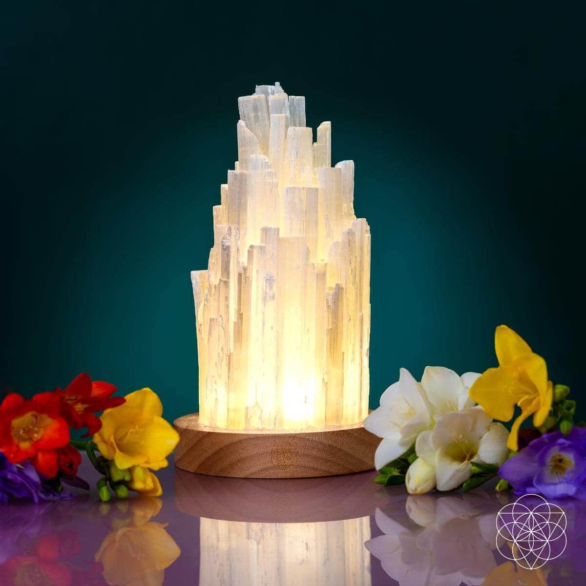 The Cleanse-All Selenite Lamp - 2 Pounds of Healing Power Night Light Conscious Items