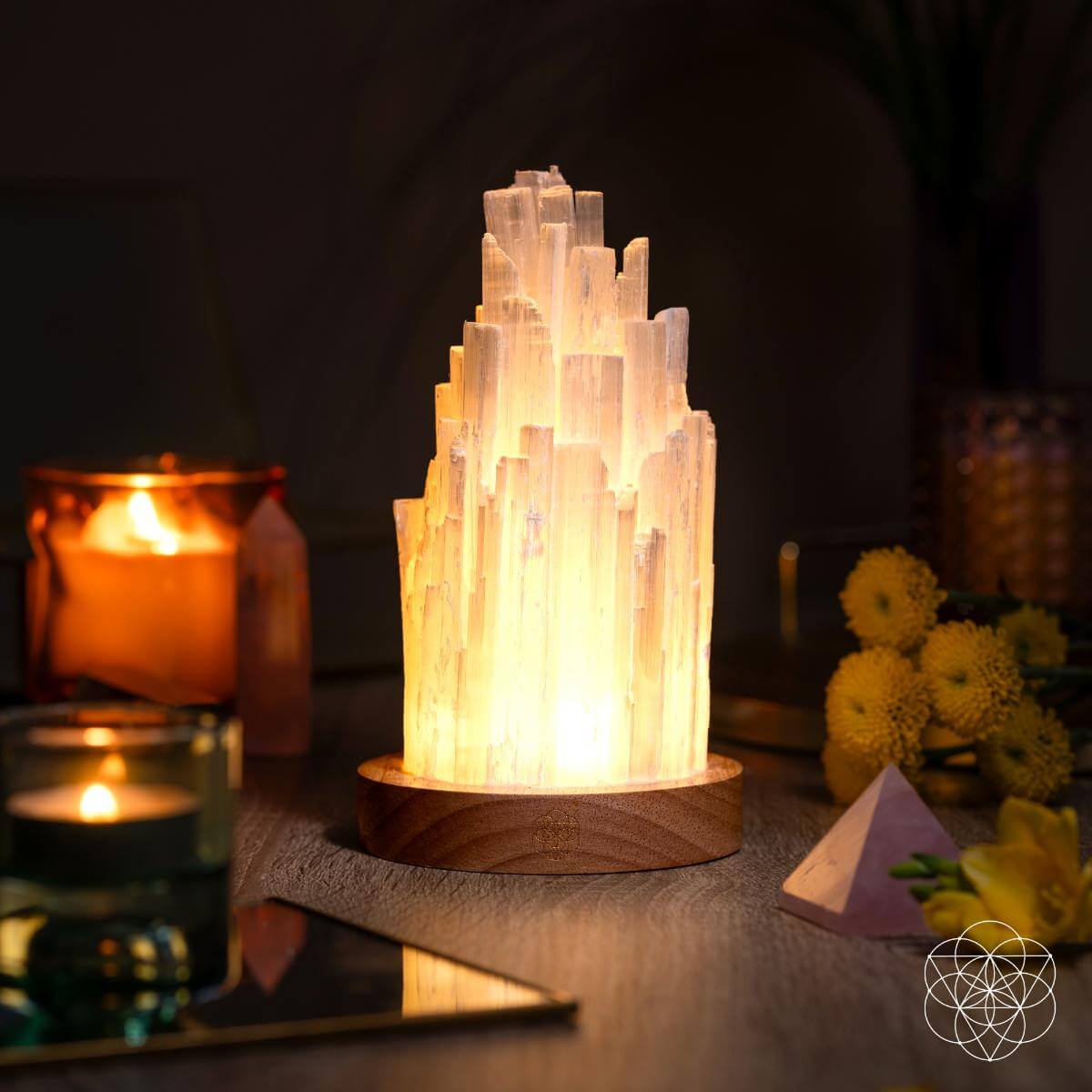 The Cleanse-All Selenite Lamp - 2 Pounds of Healing Power Night Light Conscious Items