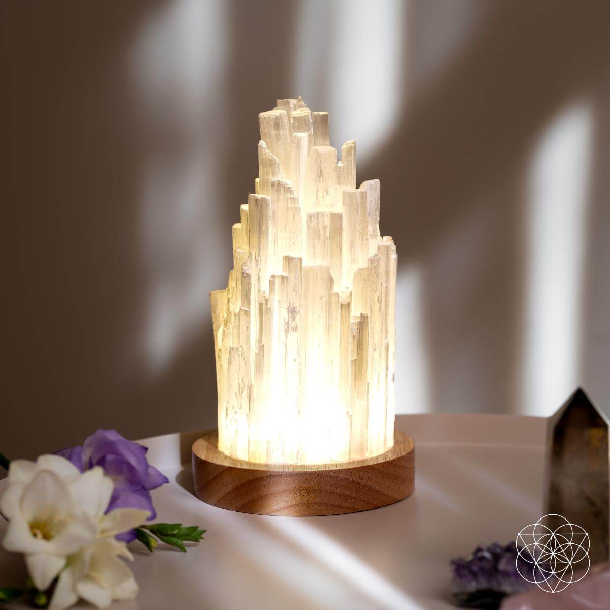 The Cleanse-All Selenite Lamp - 2 Pounds of Healing Power Night Light Conscious Items