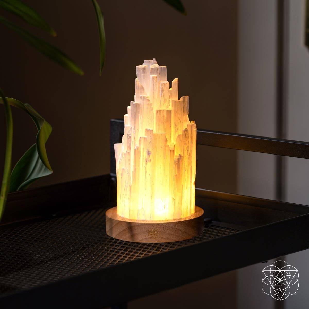 The Cleanse-All Selenite Lamp - 2 Pounds of Healing Power Night Light Conscious Items