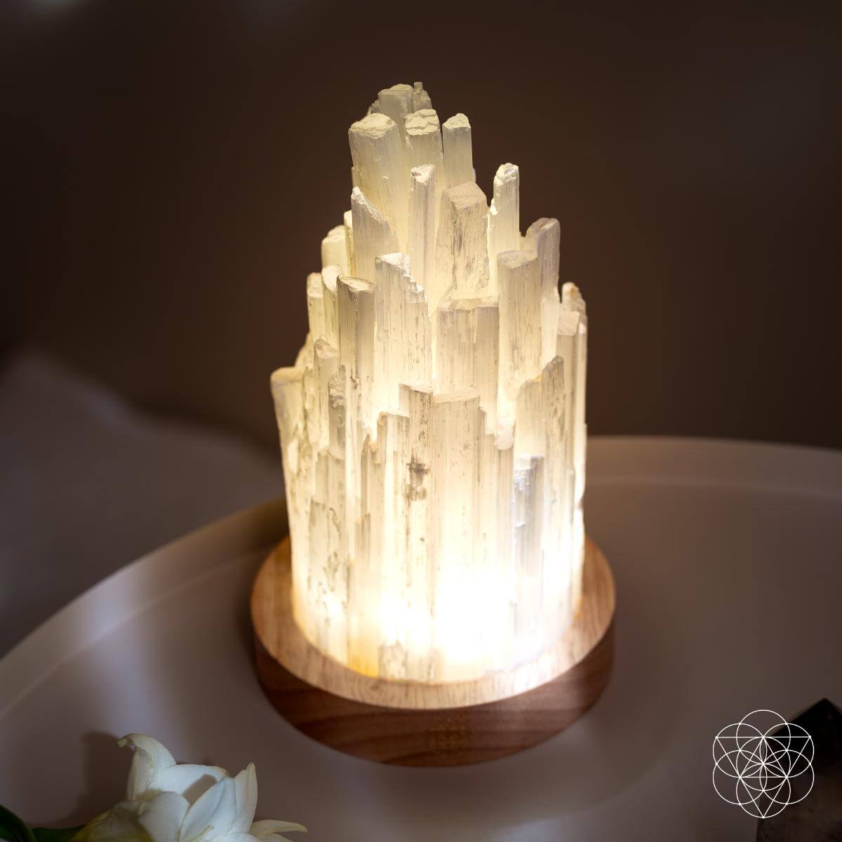 The Cleanse-All Selenite Lamp - 2 Pounds of Healing Power Night Light Conscious Items