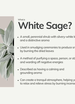Organic White Sage Smudge Stick - Large