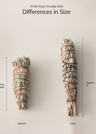 Organic White Sage Smudge Stick - Large